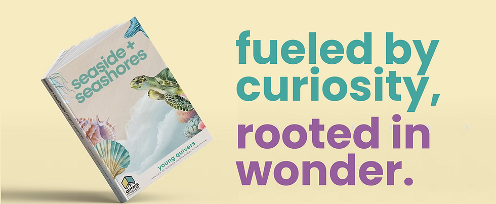 Arrows of Wonder curriculum books