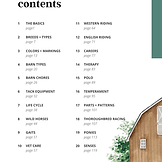 Saddles + Stallions Page 1