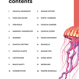 Seaside + Seashores Page 1