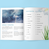 Skies + Storms Page 1