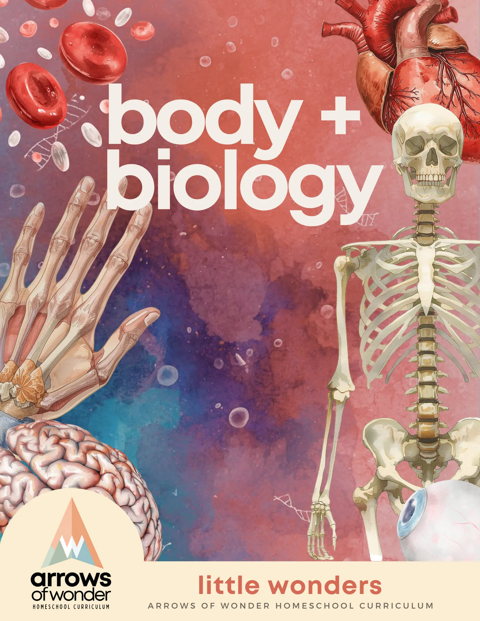 Body + Biology