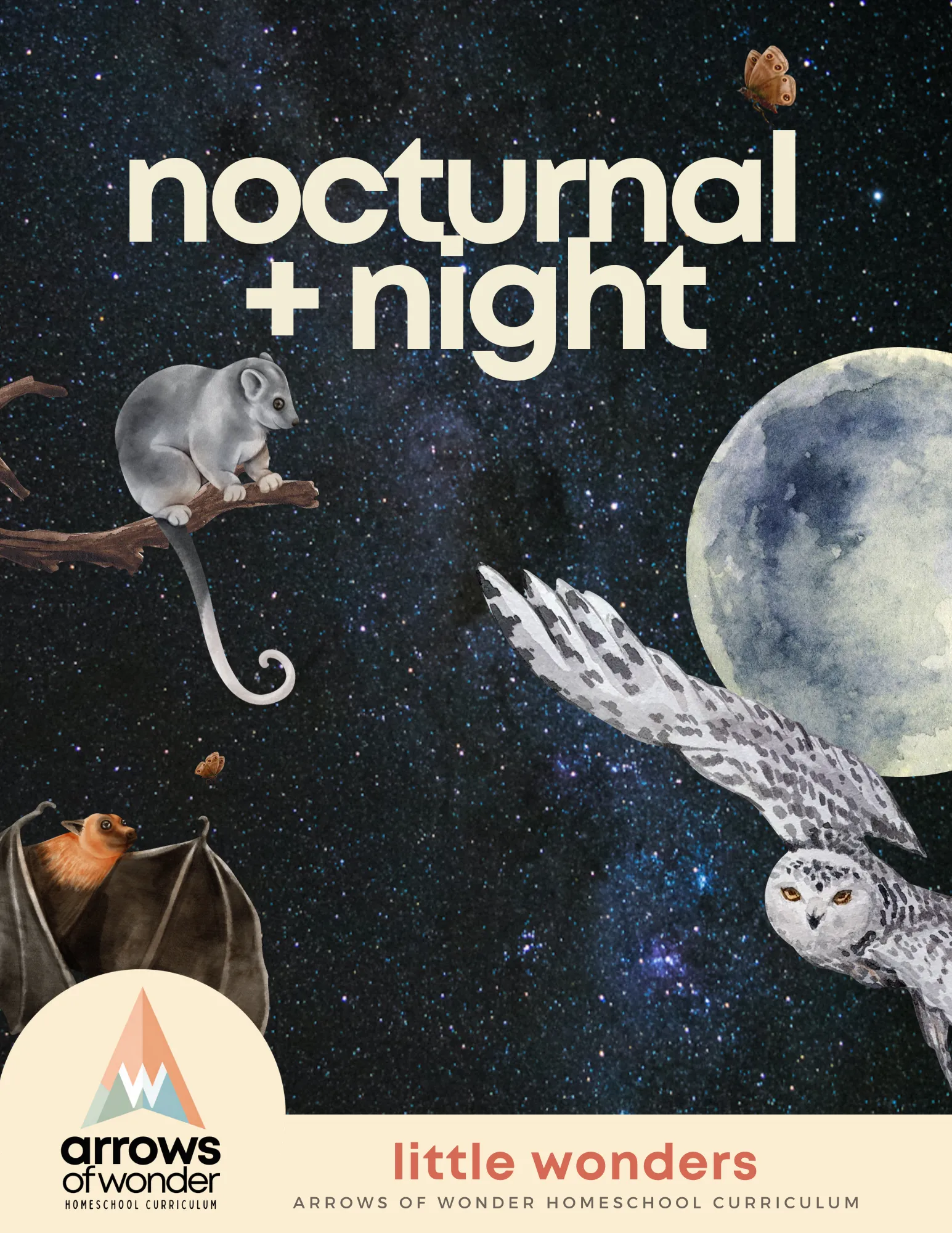 Nocturnal + Night