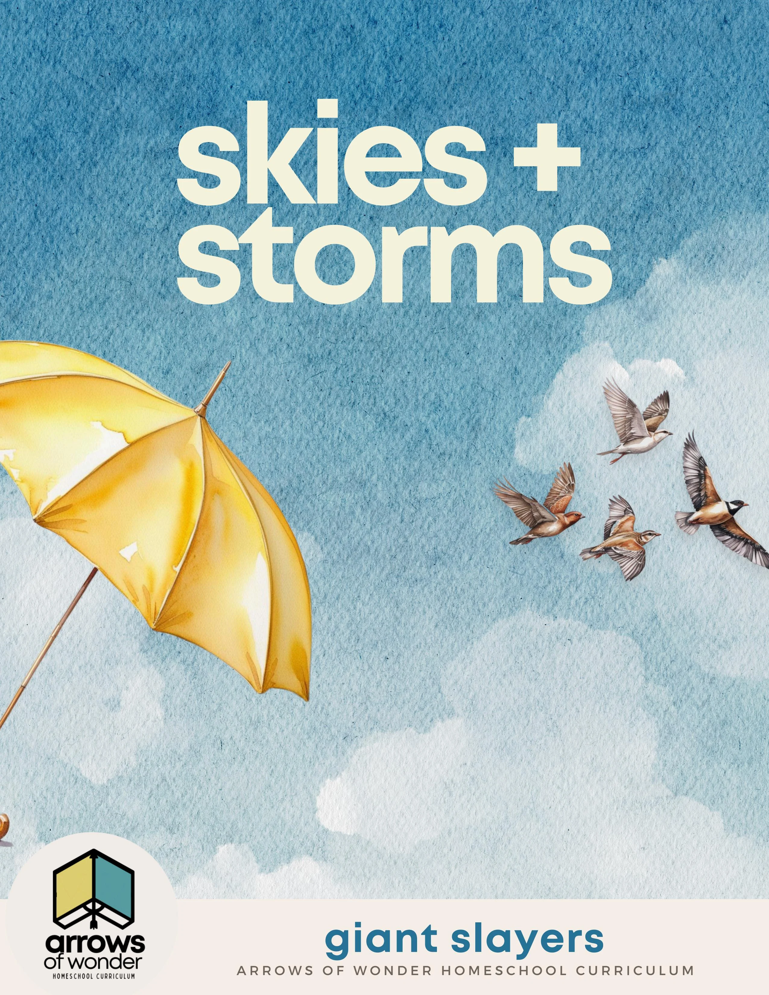 Skies + Storms