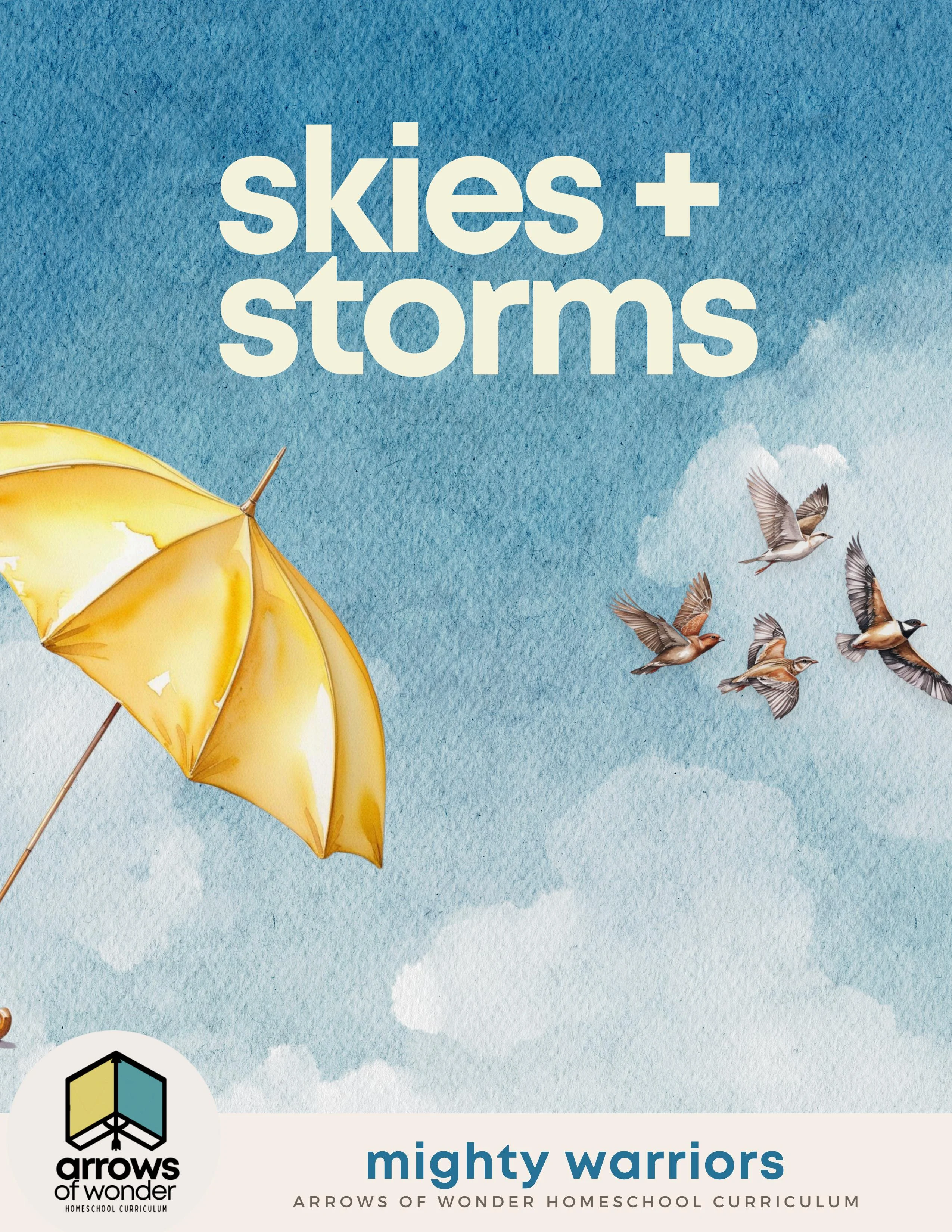 Skies + Storms
