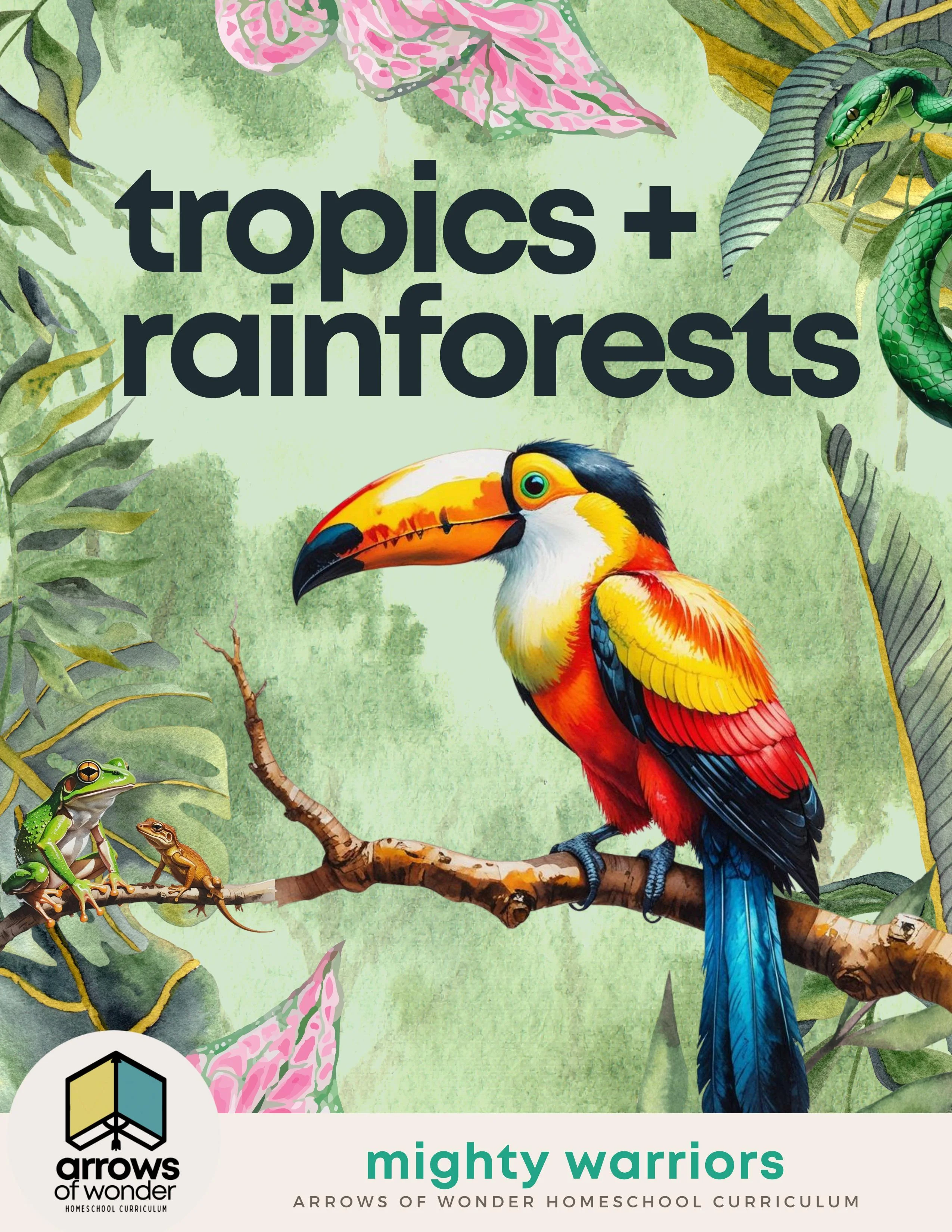Tropics + Rainforests