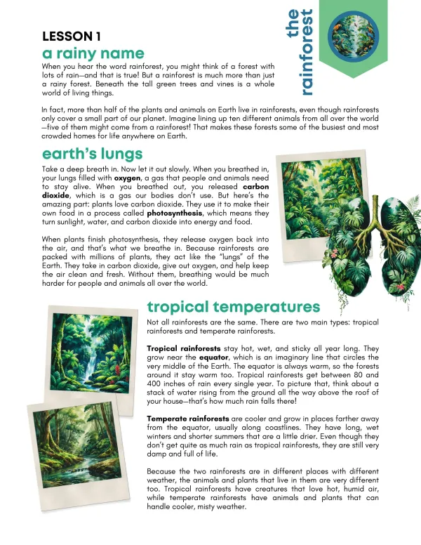 Tropics + Rainforests Preview Page 6