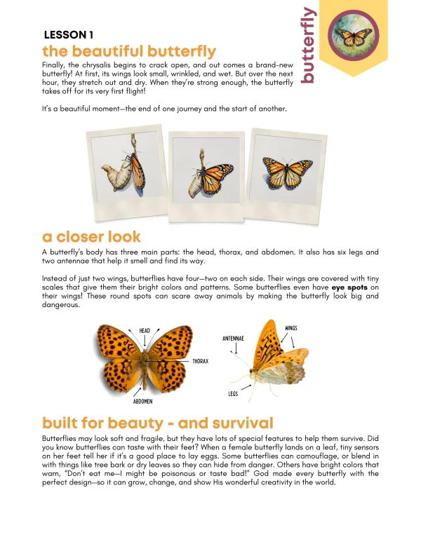 Wings + Things Preview Page 7